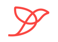 oiseau sans rond corail-1